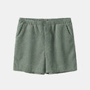 Conjunto Masculino de Terciopelo Camisa Polo + Shorts